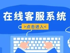主流在线客服系统