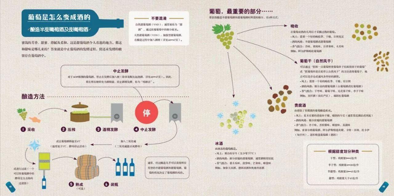 葡萄酒制作全过程